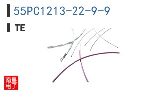 55PC1213-22-9-9