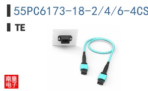 55PC6173-18-2/4/6-4CS2502