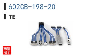 602GB-198-20