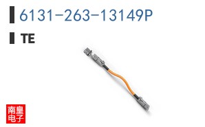 6131-263-13149P