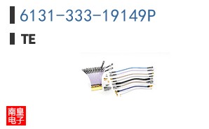 6131-333-19149P