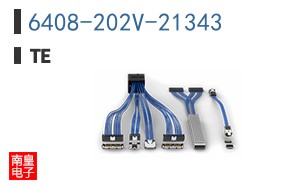 6408-202V-21343