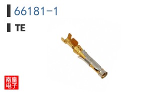 66181-1