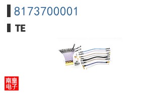 8173700001