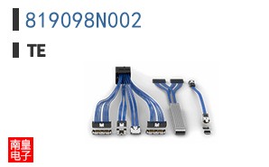 819098N002