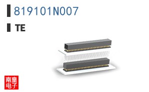819101N007