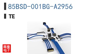 85BSD-001BG-A2956