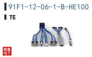 91F1-12-06-1-B-HE100
