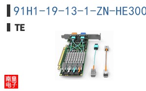 91H1-19-13-1-ZN-HE300