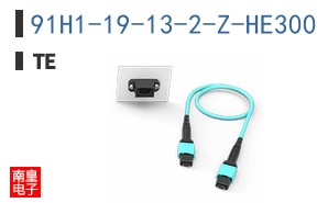 91H1-19-13-2-Z-HE300