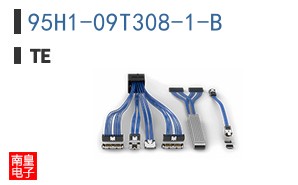95H1-09T308-1-B