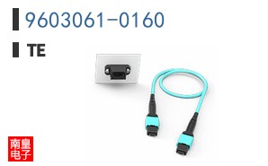 9603061-0160