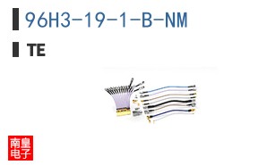 96H3-19-1-B-NM