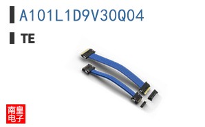 A101L1D9V30Q04