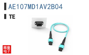 AE107MD1AV2B04