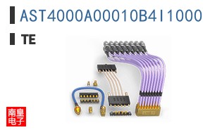 AST4000A00010B4I1000