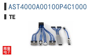 AST4000A00100P4C1000