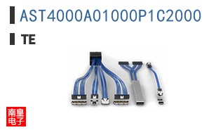 AST4000A01000P1C2000