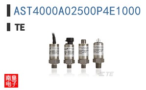 AST4000A02500P4E1000