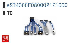 AST4000F08000P1Z1000