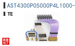 AST4300P05000P4L1000-SS