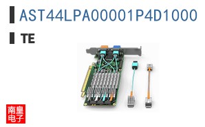 AST44LPA00001P4D1000