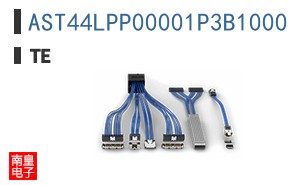 AST44LPP00001P3B1000