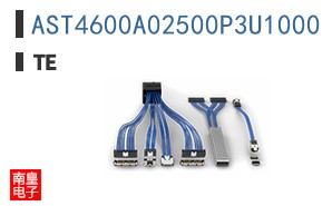 AST4600A02500P3U1000