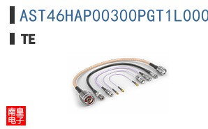 AST46HAP00300PGT1L000