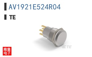 AV1921E524R04