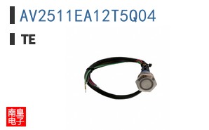 AV2511EA12T5Q04