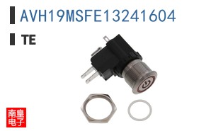 AVH19MSFE13241604