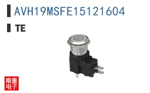 AVH19MSFE15121604