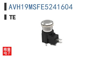 AVH19MSFE5241604