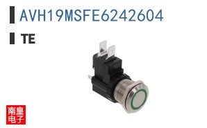 AVH19MSFE6242604