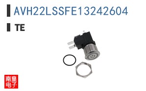 AVH22LSSFE13242604