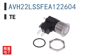 AVH22LSSFEA122604
