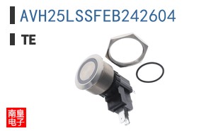 AVH25LSSFEB242604