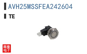 AVH25MSSFEA242604