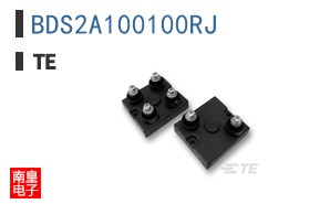 BDS2A100100RJ