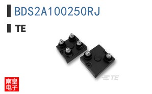 BDS2A100250RJ