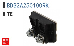 BDS2A250100RK