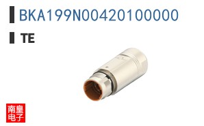 BKA199N00420100000