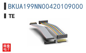 BKUA199NN00420109000