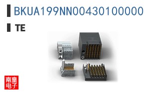BKUA199NN00430100000