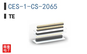 CES-1-CS-2065
