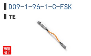 D09-1-96-1-C-FSK