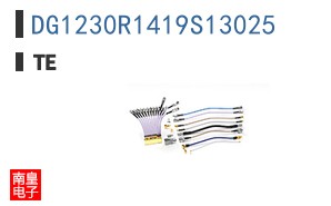 DG1230R1419S13025