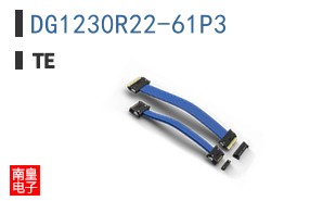 DG1230R22-61P3 ͼƬ