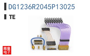 DG1236R2045P13025